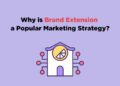 Why is Brand Extension a Popular Marketing Strategy?
