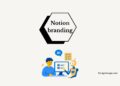 Notion branding: Human working on AI Workspace illustration